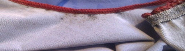 tirar mofo das roupas